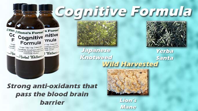 Image of Cognitive Formula