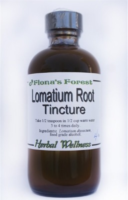 Lomatium Root