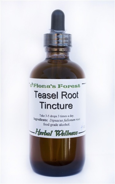 Teasel Root tincture