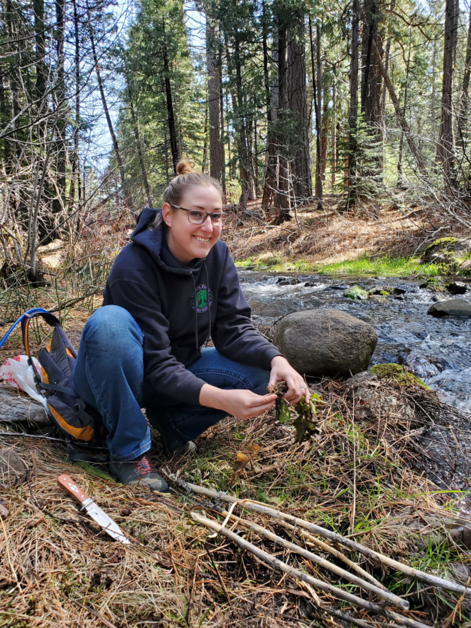 Image of Katy harvesting Avens Root next to a creek