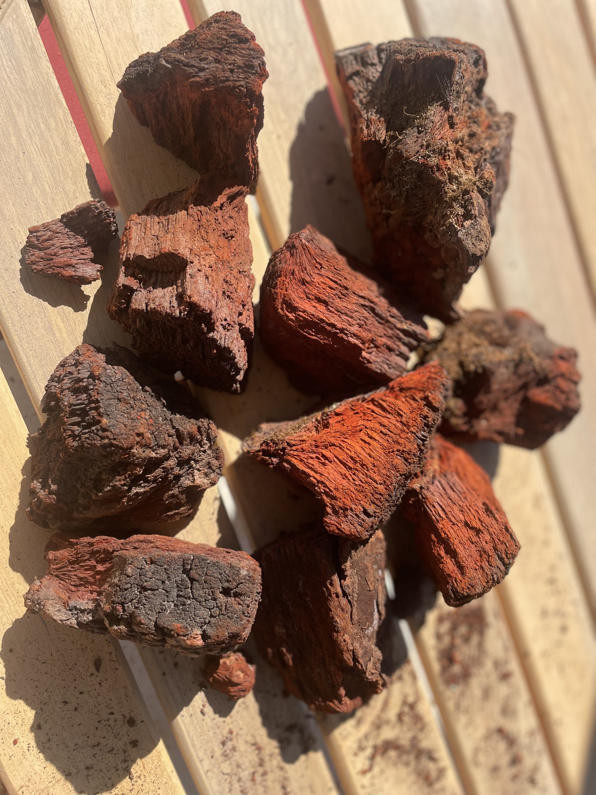 Image of Pieces of a Chaga Mushroom to show coloring